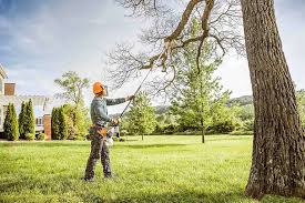 How Our Tree Care Process Works  in  National Park, NJ