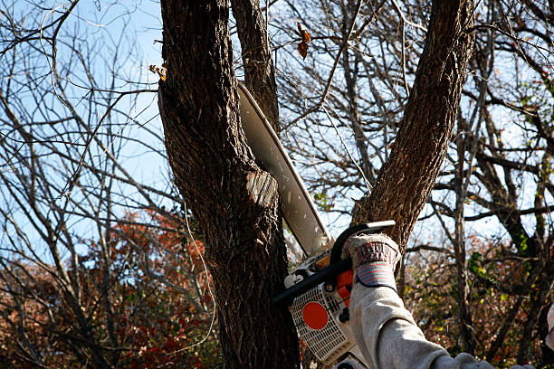 Lawn Irrigation Installation and Maintenance in National Park, NJ